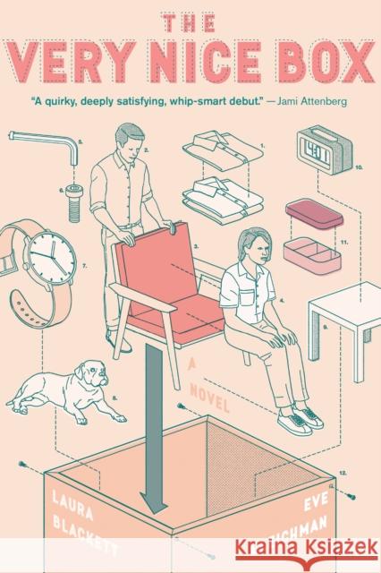 The Very Nice Box Eve Gleichman Laura Blackett 9780358697503 Mariner Books - książka