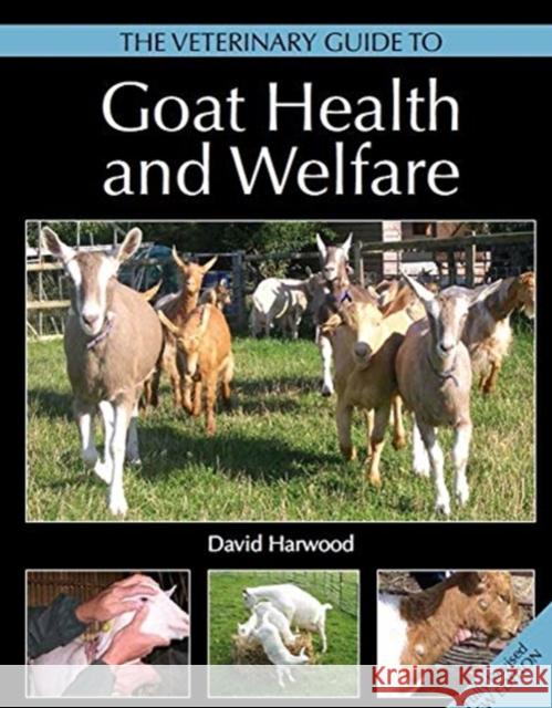 The Veterinary Guide to Goat Health and Welfare David Harwood 9781785006210 The Crowood Press Ltd - książka