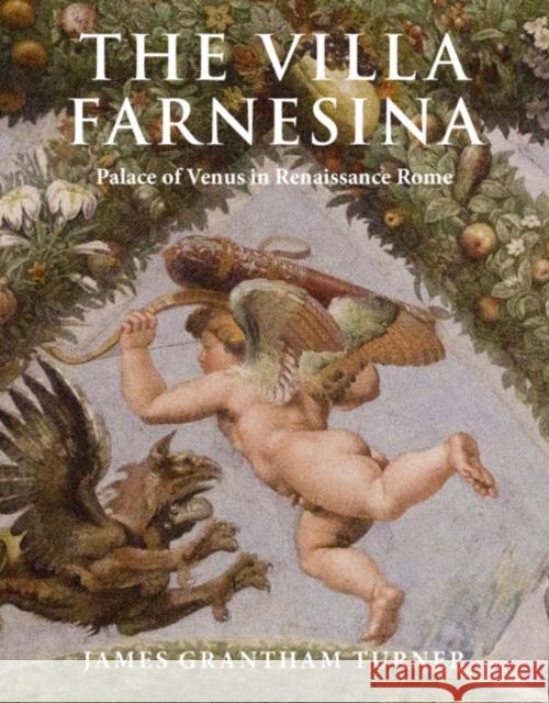 The Villa Farnesina James Grantham (University of California, Berkeley) Turner 9781316511015 Cambridge University Press - książka