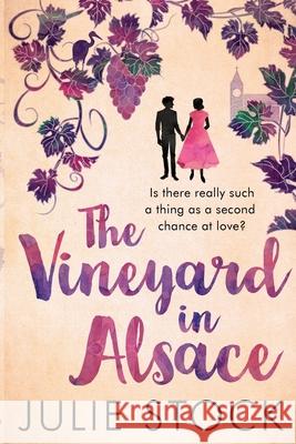 The Vineyard in Alsace Julie Stock   9780993213519 Clued Up Publishing - książka