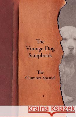 The Vintage Dog Scrapbook - The Clumber Spaniel Various 9781447428114 Vintage Dog Books - książka