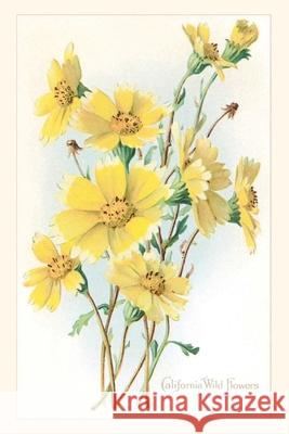 The Vintage Journal California Wildflowers, Tidy Tips Found Image Press 9781648115660 Found Image Press - książka