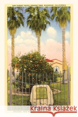 The Vintage Journal Parent Orange Tree, Riverside, California Found Image Press 9781648115011 Found Image Press - książka