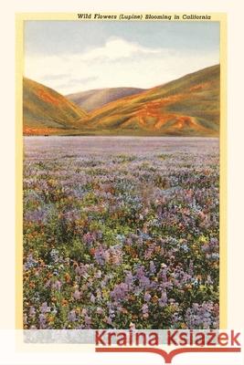 The Vintage Journal Wildflowers in California Found Image Press 9781648115042 Found Image Press - książka