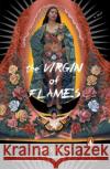 The Virgin of Flames Chris Abani 9780143038771 Penguin Books