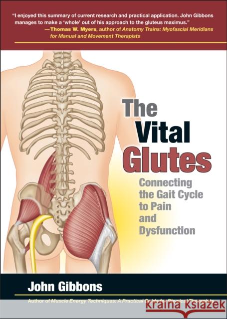 The Vital Glutes: Connecting the Gait Cycle to Pain and Dysfunction John Gibbons 9781905367498 Lotus Publishing - książka