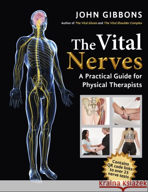 The Vital Nerves: A Practical Guide for Physical Therapists John Gibbons 9781913088187 Lotus Publishing - książka