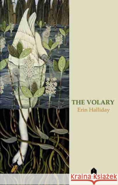 The Volary Erin Halliday   9781851322138 Arlen House - książka