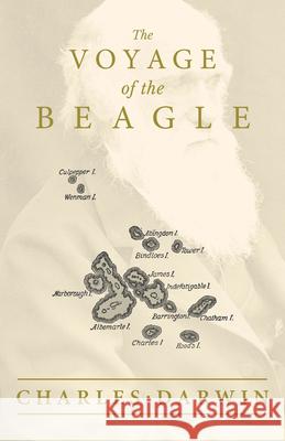 The Voyage of the Beagle Charles Darwin 9781528717069 Read & Co. Books - książka