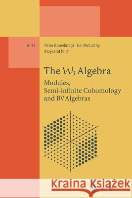 The W3 Algebra: Modules, Semi-Infinite Cohomology and Bv Algebras Bouwknegt, Peter 9783662140925 Springer - książka