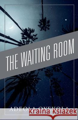 The Waiting Room and The Christmas Present Oyekola, Adeola 9781735367187 Olabooks International - książka