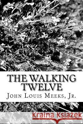 The Walking Twelve: An unofficial and spiritual look at The Walking Dead Meeks Jr, John Louis 9781523205639 Createspace Independent Publishing Platform - książka