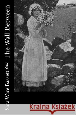 The Wall Between Sara Ware Bassett 9781981994151 Createspace Independent Publishing Platform - książka