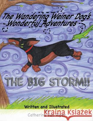 The Wandering Weiner Dog's Wonderful Adventures: The Big Storm!! Catherine Va Catherine Va Anthony Sopranzi 9781936762026 Black Beak Press - książka