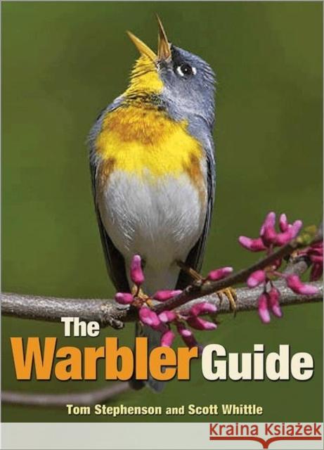 The Warbler Guide Tom Stephenson 9780691154824  - książka
