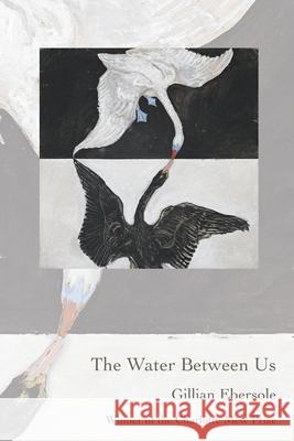 The Water Between Us Gillian Ebersole 9781733534581 Headmistress Press - książka