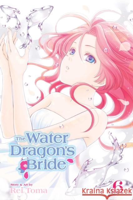 The Water Dragon's Bride, Vol. 6 Rei Toma 9781421598581 Viz Media, Subs. of Shogakukan Inc - książka