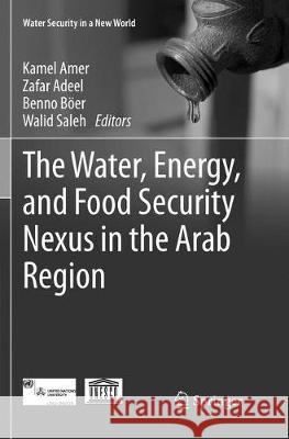 The Water, Energy, and Food Security Nexus in the Arab Region  9783319839356 Springer - książka