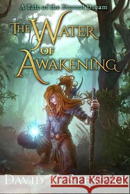 The Water of Awakening David Van Dyke Stewart 9781521563373 Independently Published - książka