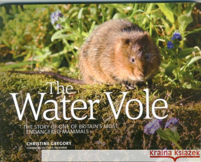 The Water Vole: The Story of One of Britain's Most Endangered Mammals Christine Gregory 9781910240540 Vertebrate Publishing Ltd - książka