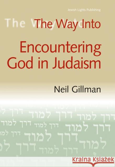 The Way Into Encountering God in Judaism Neil Gillman 9781580231992 Jewish Lights Publishing - książka