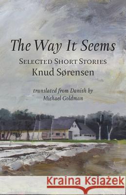 The Way It Seems: Selected Short Stories Knud Srensen Michael Goldman 9781947980280 Spuyten Duyvil - książka