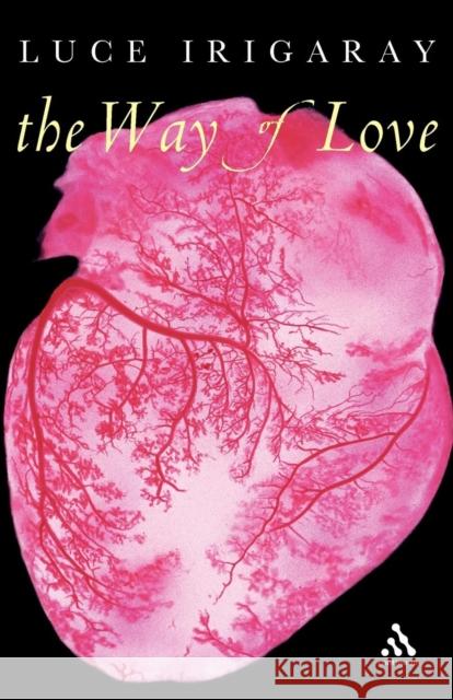 The Way of Love Luce Irigaray Heidi Bostic Stephen Pluhacek 9780826473271 Continuum International Publishing Group - książka