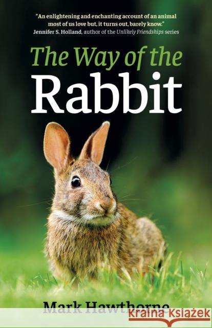 The Way of the Rabbit Mark Hawthorne 9781789047936 John Hunt Publishing - książka