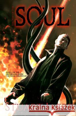 The Way of the Soul Stuart Jaffe 9781514708644 Createspace - książka