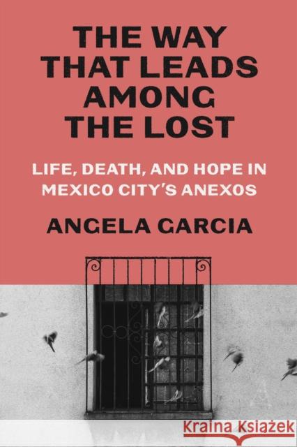 The Way That Leads Among the Lost: Life, Death, and Hope in Mexico City's Anexos Angela Garcia 9780374605780 Farrar, Straus and Giroux - książka
