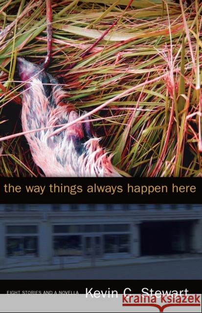 The Way Things Always Happen Here Kevin C. Stewart 9781933202198 West Virginia University - książka