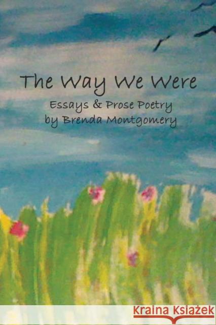 The Way We Were Brenda Montgomery 9780989479288 Winter Goose Publishing - książka