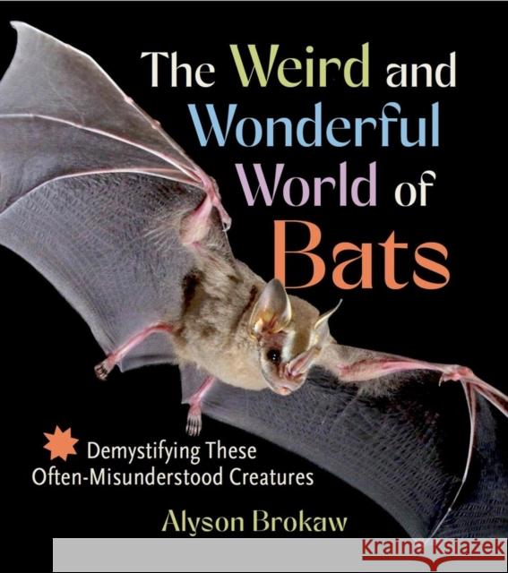 The Weird and Wonderful World of Bats: Demystifying These Often-Misunderstood Creatures Alyson Brokaw 9781643261904 Timber Press (OR) - książka