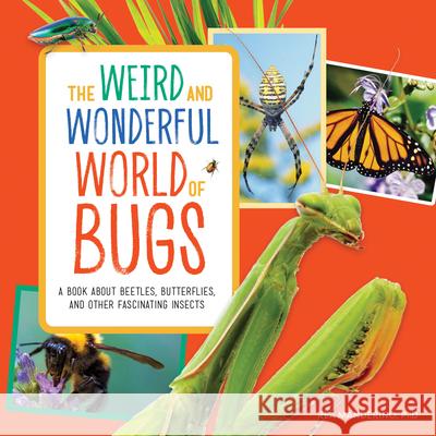 The Weird and Wonderful World of Bugs: A Book about Beetles, Butterflies, and Other Fascinating Insects Rea, PhD Manderino 9781647397326 Rockridge Press - książka
