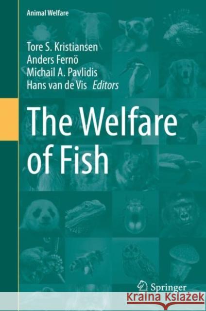 The Welfare of Fish Tore S. Kristiansen Anders Ferno Michalis A. Pavlidis 9783030416744 Springer - książka