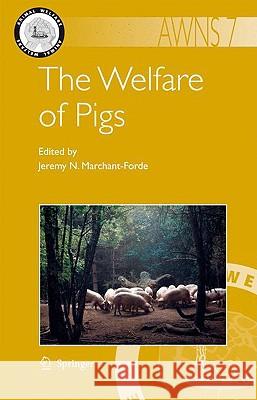 The Welfare of Pigs Jeremy N. Marchant-Forde 9781402089084 Springer - książka