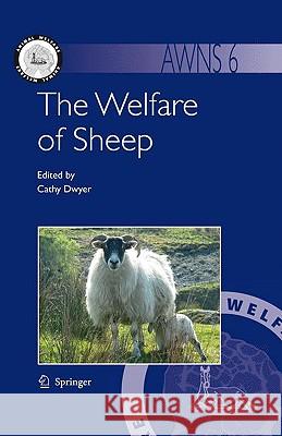 The Welfare of Sheep Cathy Dwyer 9781402085529 Springer - książka