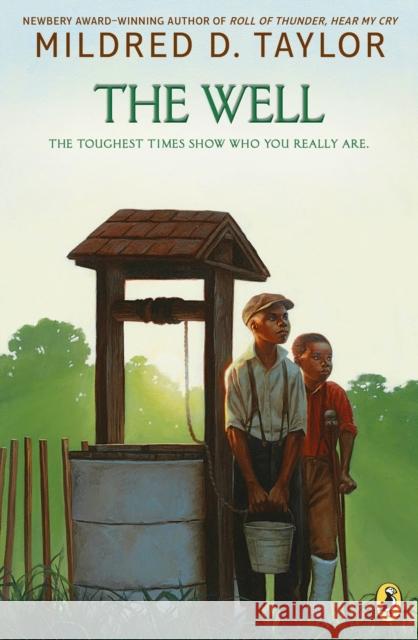 The Well Mildred D. Taylor 9780140386424 Puffin Books - książka