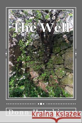 The Well Donn Hutchison 9780997099027 Yabadonn Press - książka