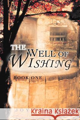 The Well of Wishing: Book One LeDoux, Joy 9781467043403 Authorhouse - książka