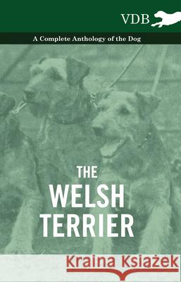 The Welsh Terrier - A Complete Anthology of the Dog Various 9781445528014 Vintage Dog Books - książka