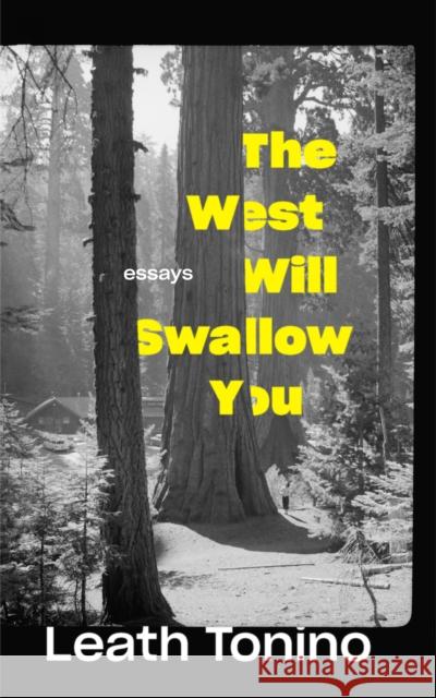 The West Will Swallow You: Essays  9781595349033 Trinity University Press - książka