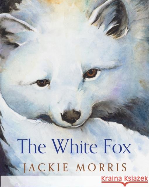 The White Fox Morris, Jackie 9781781127391 HarperCollins Publishers - książka