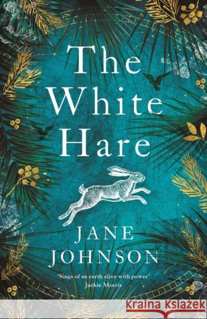 The White Hare Jane Johnson 9781789545227 Bloomsbury Publishing (UK) - książka