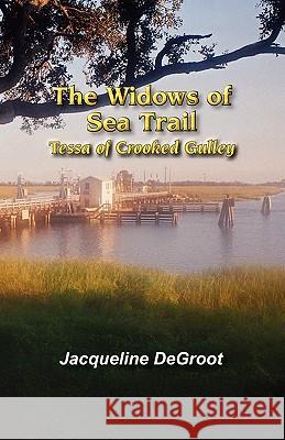 The Widows of Sea Trail-Tessa of Crooked Gulley Jacqueline DeGroot 9781615397716 October Publishing Services - książka