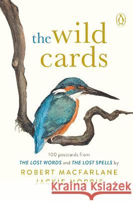The Wild Cards: A 100 Postcard Box Set Jackie Morris 9780241534090 Penguin Books Ltd - książka