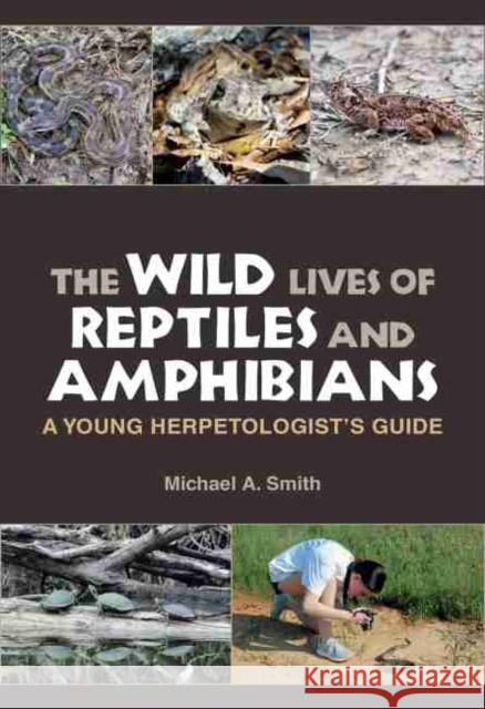 The Wild Lives of Reptiles and Amphibians: A Young Herpetologist's Guide Michael A. Smith 9781623498733 Texas A&M University Press - książka