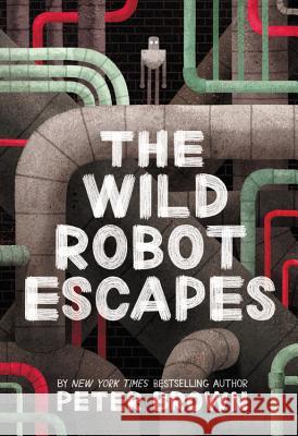 The Wild Robot Escapes Peter Brown 9780316382045 Little, Brown Books for Young Readers - książka