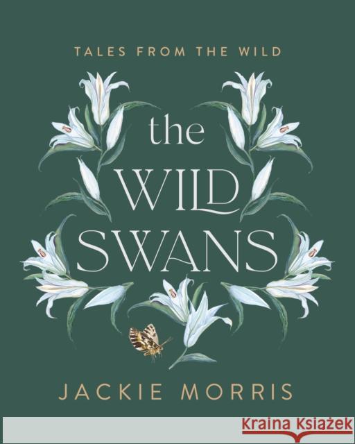 The Wild Swans Jackie Morris 9781783528882 Unbound - książka