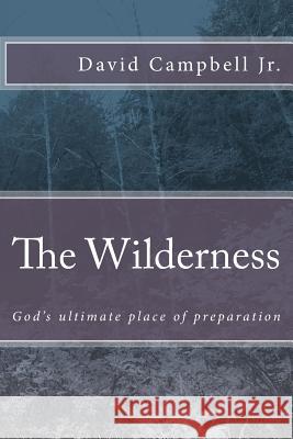 The Wilderness: God's ultimate place of preparation Campbell Jr, David 9781540535436 Createspace Independent Publishing Platform - książka